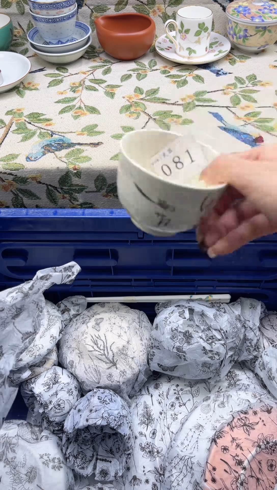 瓷片꧔****༻        081