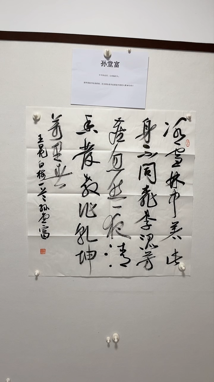 书法书法孙堂富老师