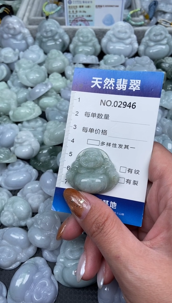 颈饰未镶嵌翡翠纯天然A货翡翠2946