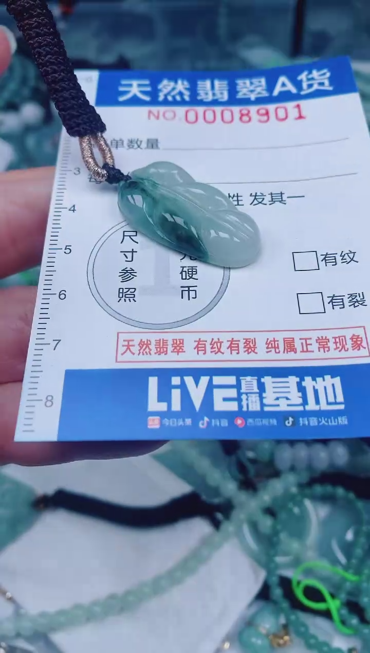 颈饰未镶嵌翡翠00008901
