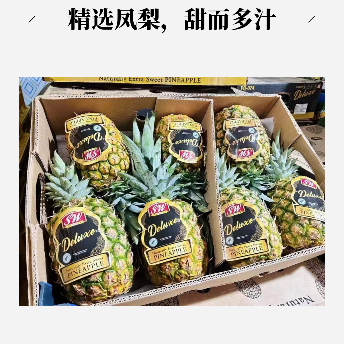 果切蜂蜜凤梨海南凤梨500g新鲜水果