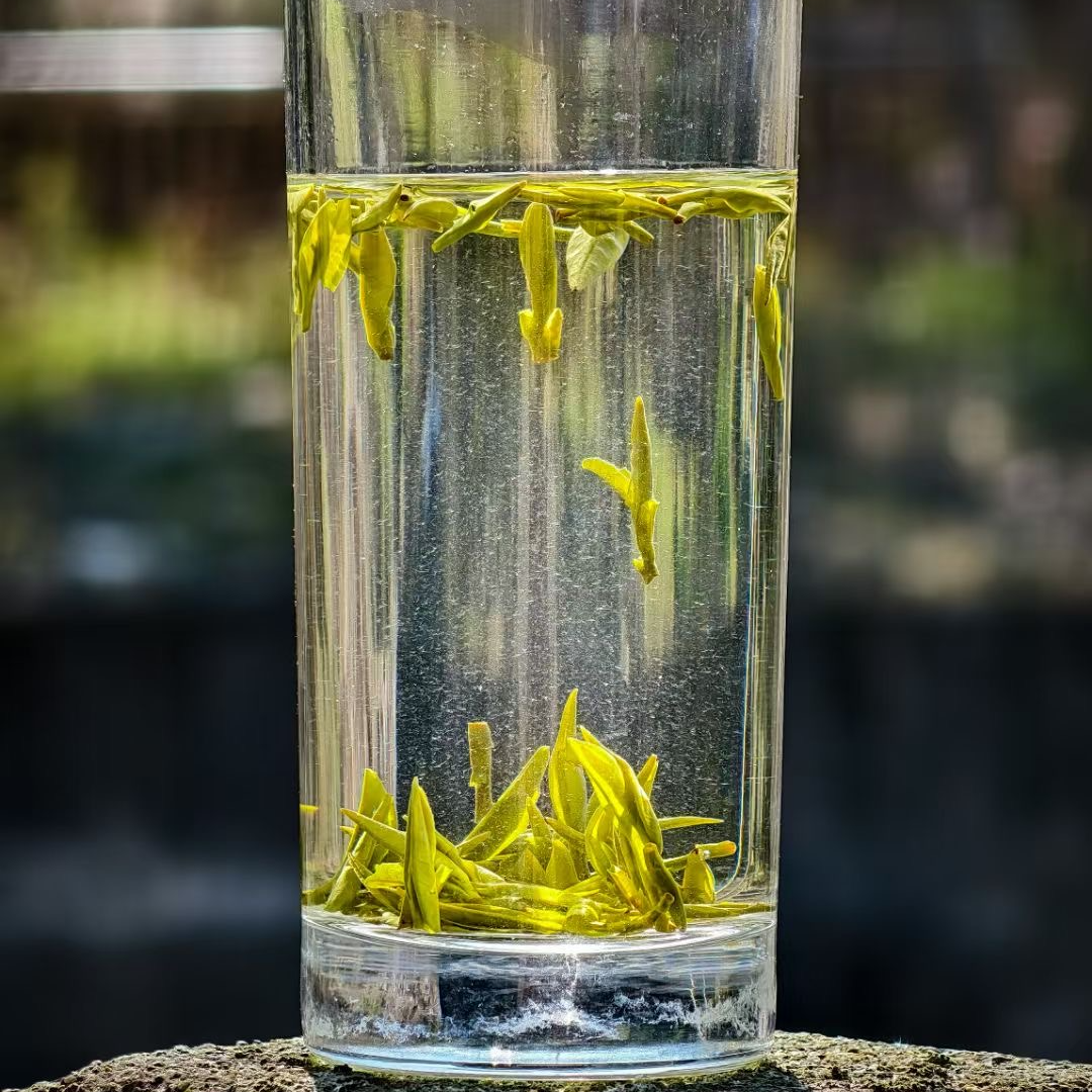 象山半岛仙茗明前绿茶（头采）10泡装