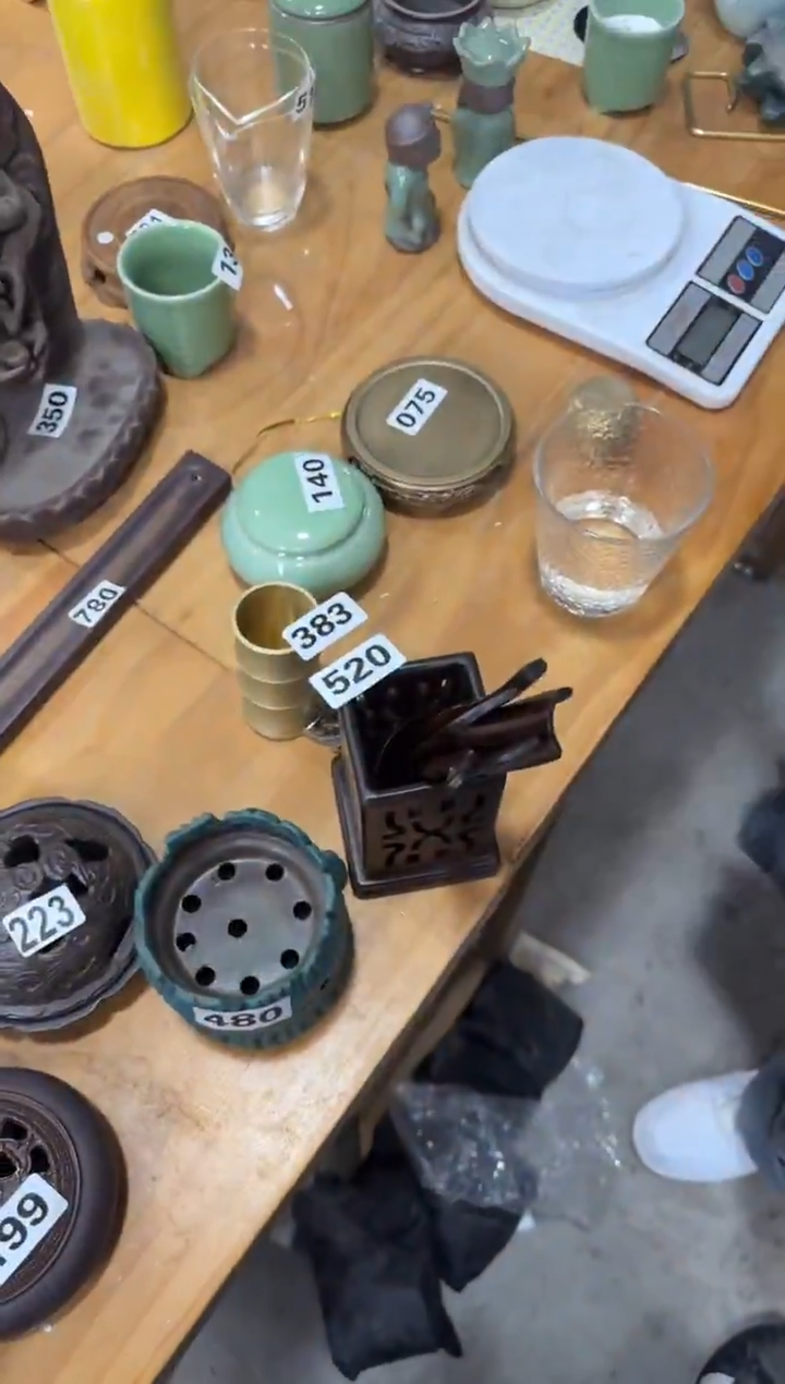 【520 】 八哥专拍