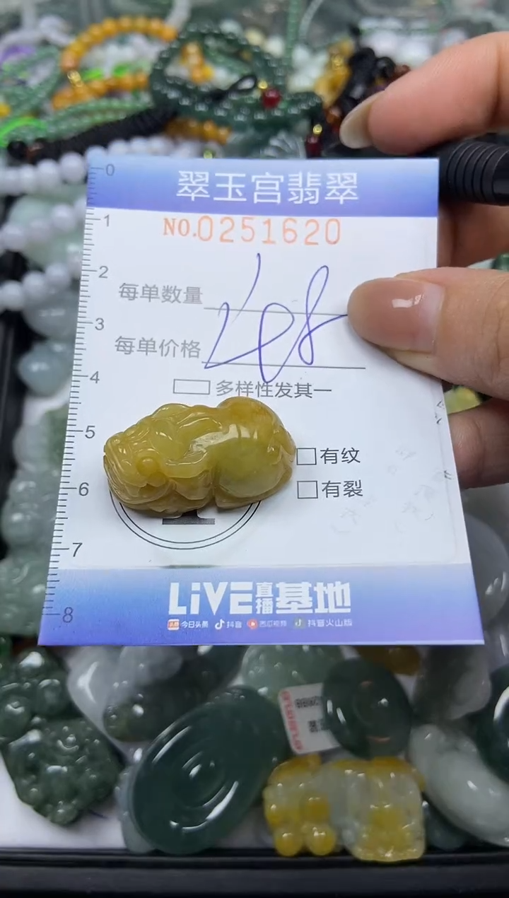 颈饰未镶嵌翡翠闪购C0251620