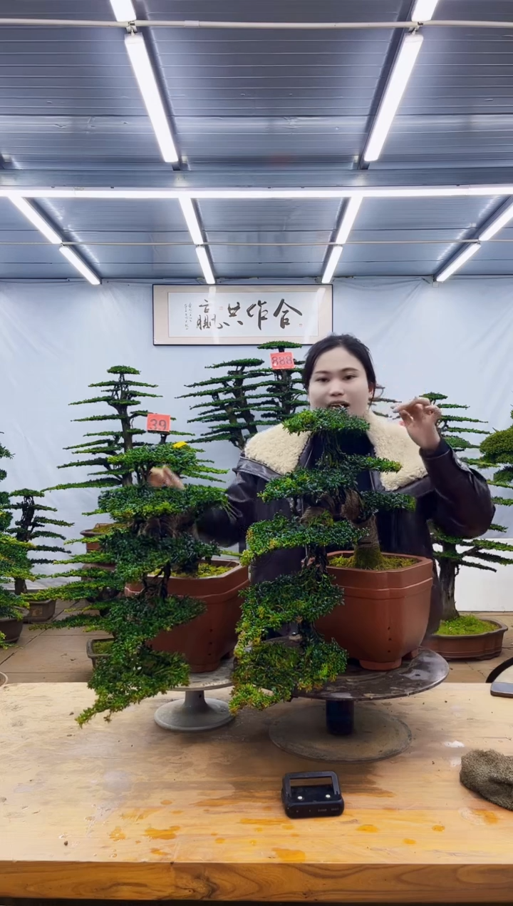 无花朵一物一拍，所见即所得