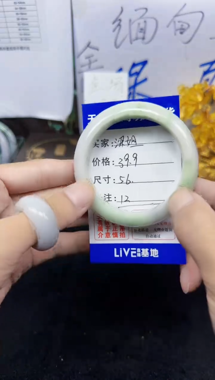 未镶嵌手镯翡翠L****Ⱄ12