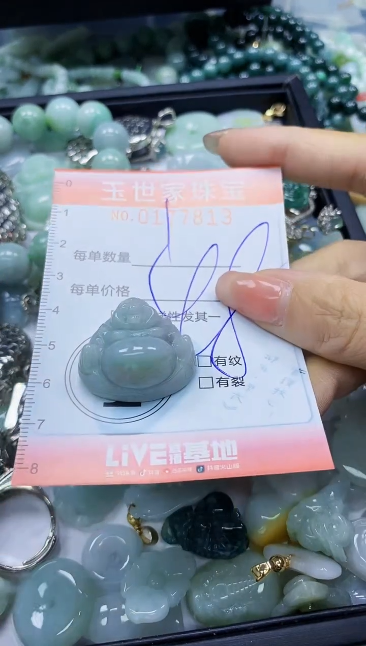 【闪购商品】翡翠颈饰未镶嵌闪购0177813