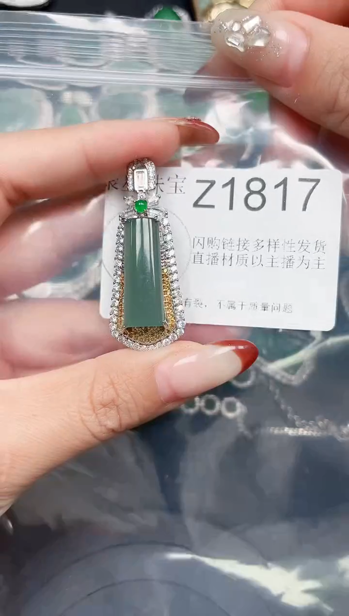 【闪购商品】翡翠颈饰未镶嵌赠皮绳1817