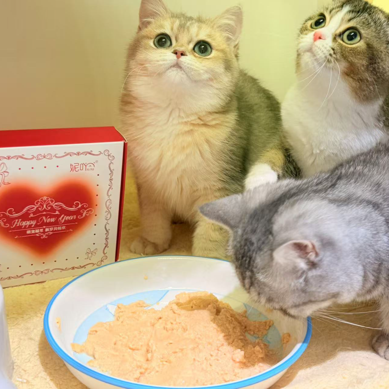 猫猫狗狗塔塔罐流心/双层小蛋糕85g*4罐/盒