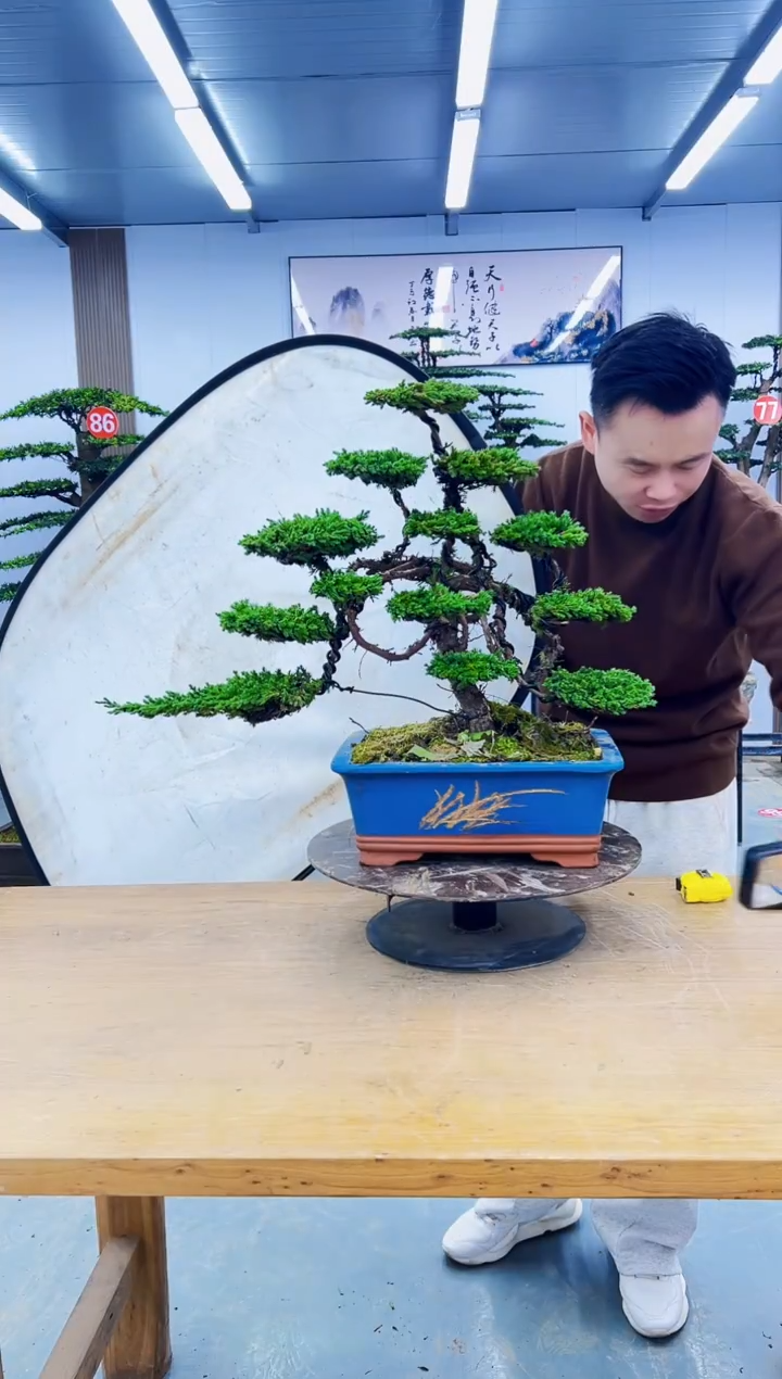 无花朵0000000000000