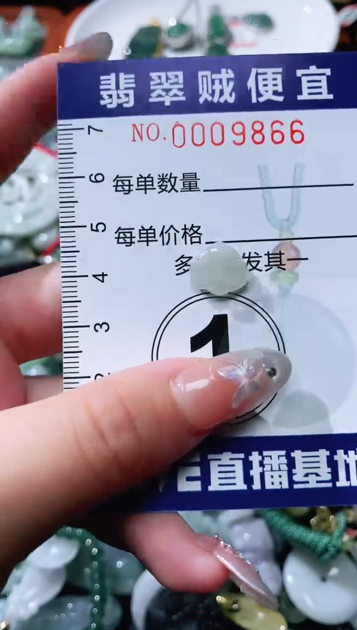 【闪购商品】翡翠未镶嵌颈饰闪购0009866