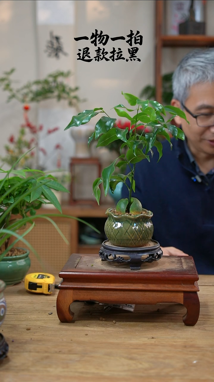 完全开放豆*包开心果485