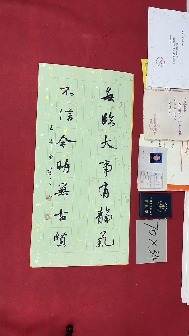 书法王泽勇老师书法作品016