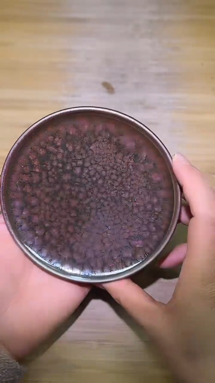 茶盏茶盏888888888