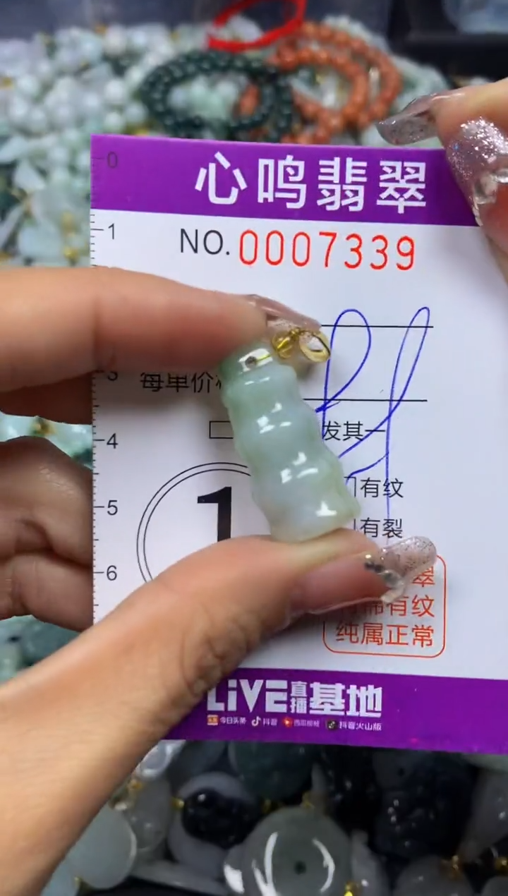 【闪购商品】翡翠颈饰未镶嵌闪购007339