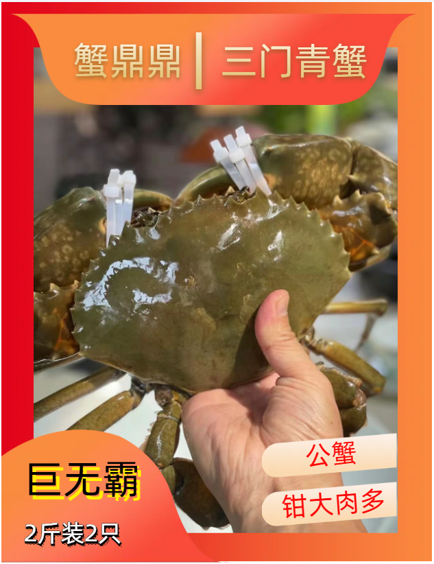【野生大公】【包活包肥】（2斤装2只）青蟹三门青蟹礼盒装个性鲜活青蟹