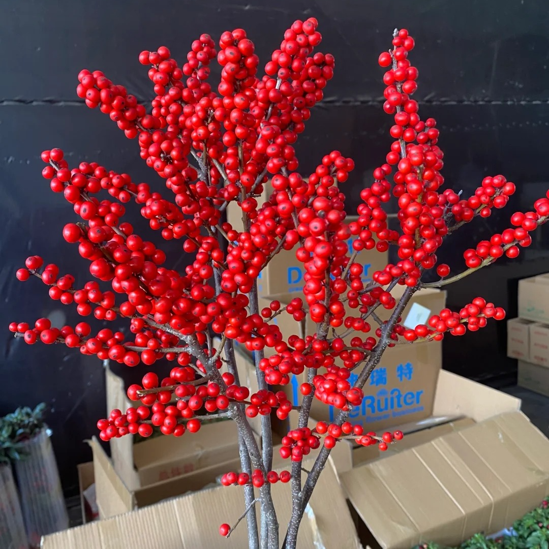 【冬青】云南新鲜A级北美冬青鲜切枝条水培瓶插年宵花新年家居摆件