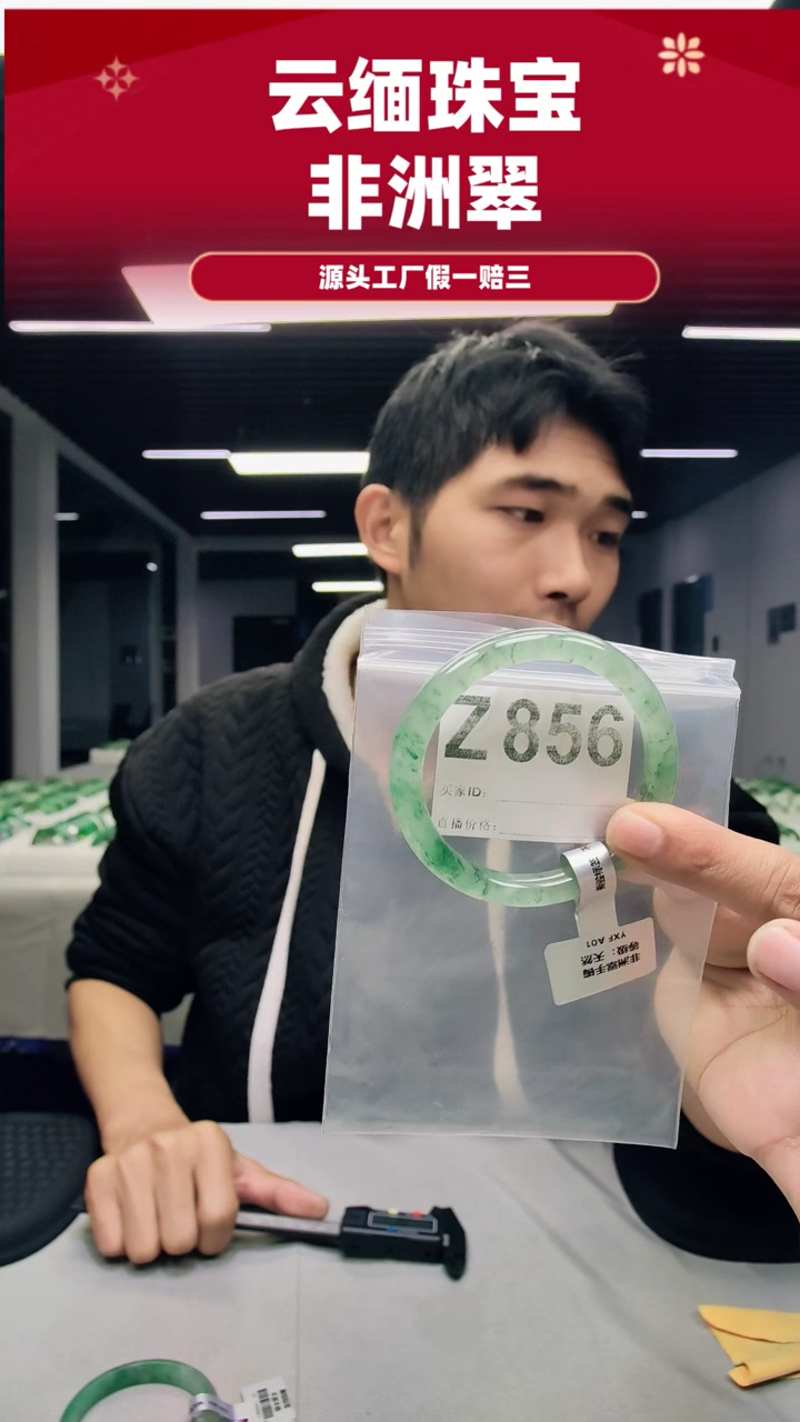 未镶嵌手镯石英质玉（非洲翠）58圈口Z856