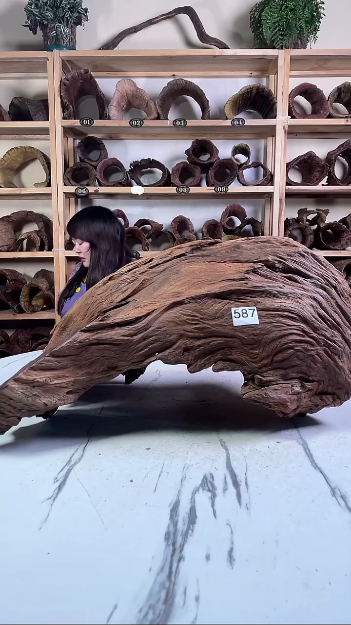 白*外云南紫柚木造景沉木