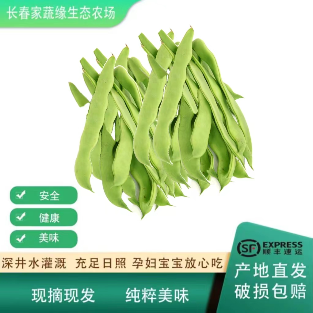 油豆角绿色种植现摘现发顺丰包邮