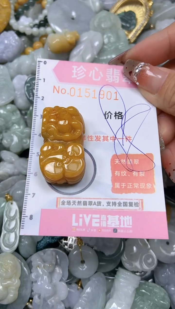 【闪购商品】翡翠颈饰未镶嵌闪购链接0151901