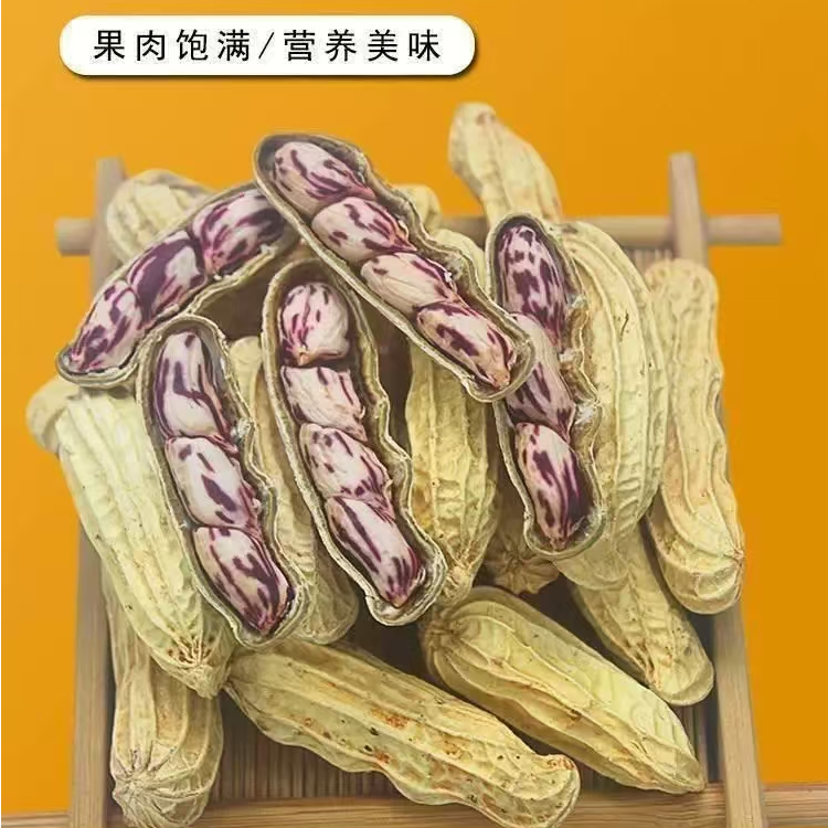 云南特产七彩花生A
