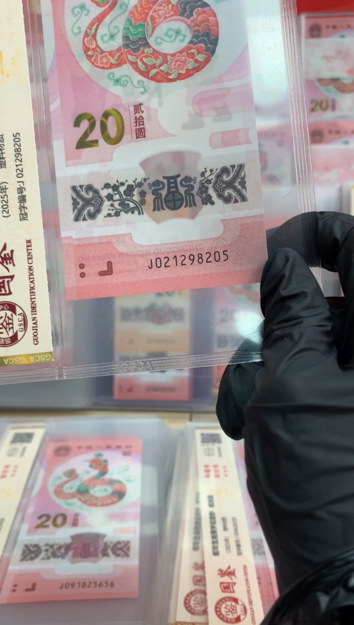 【闪购商品】塑料蛇钞 真钞【单张】8205