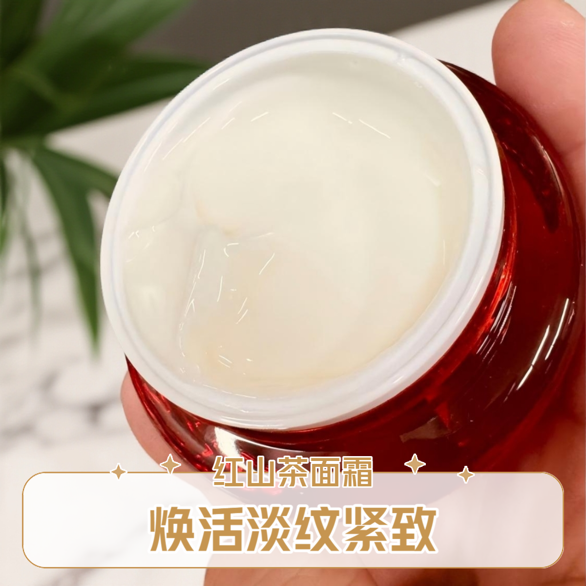 【小林家红山茶面霜】焕活淡纹紧致面霜50g