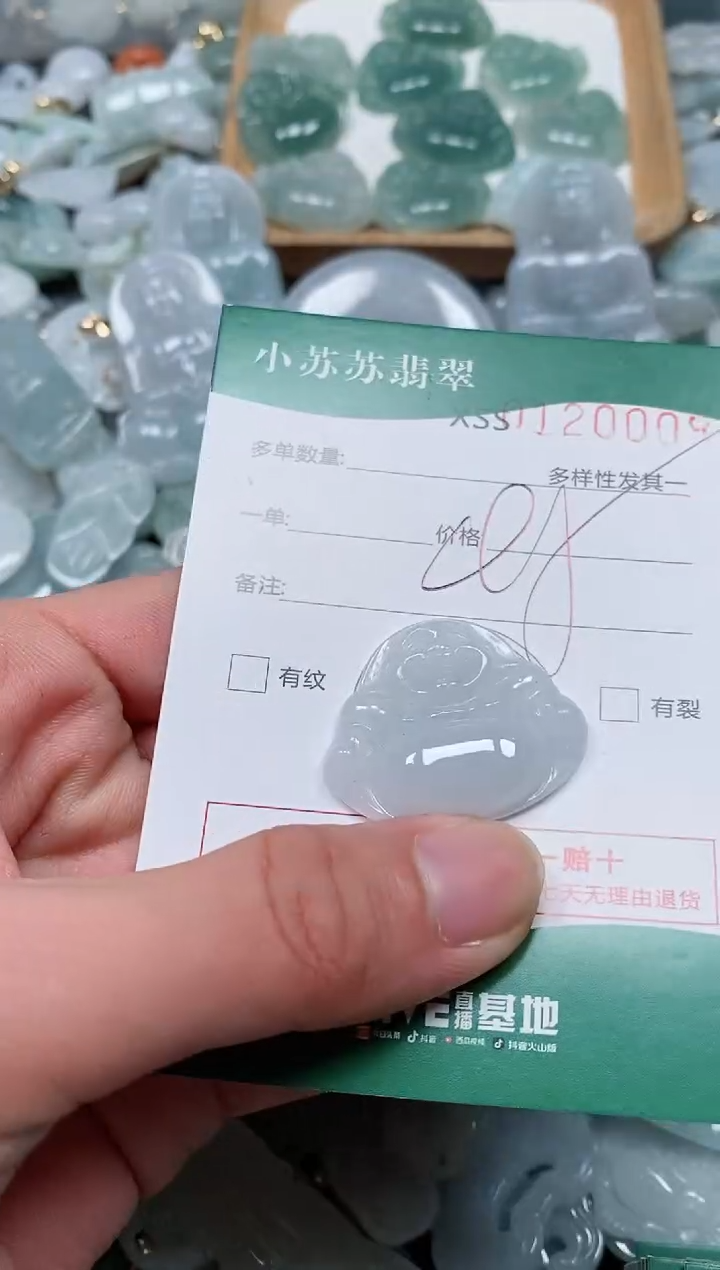 【闪购商品】翡翠颈饰未镶嵌闪购商品0120008