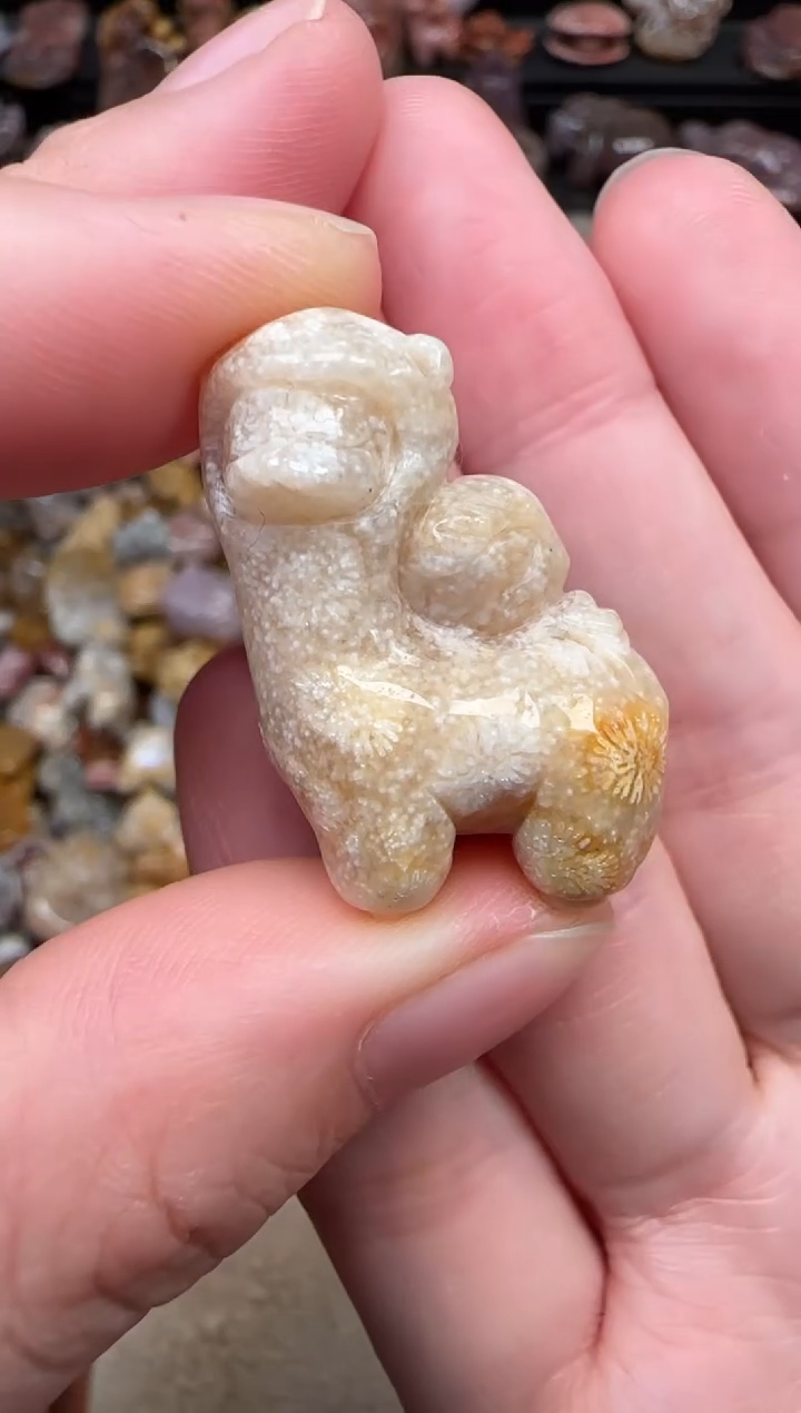 颈饰未镶嵌硅化珊瑚（珊瑚玉）015