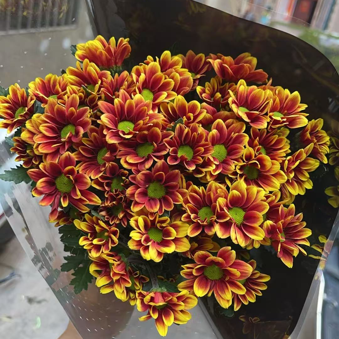 橙典韵 小雏菊全店任意4单一个运费