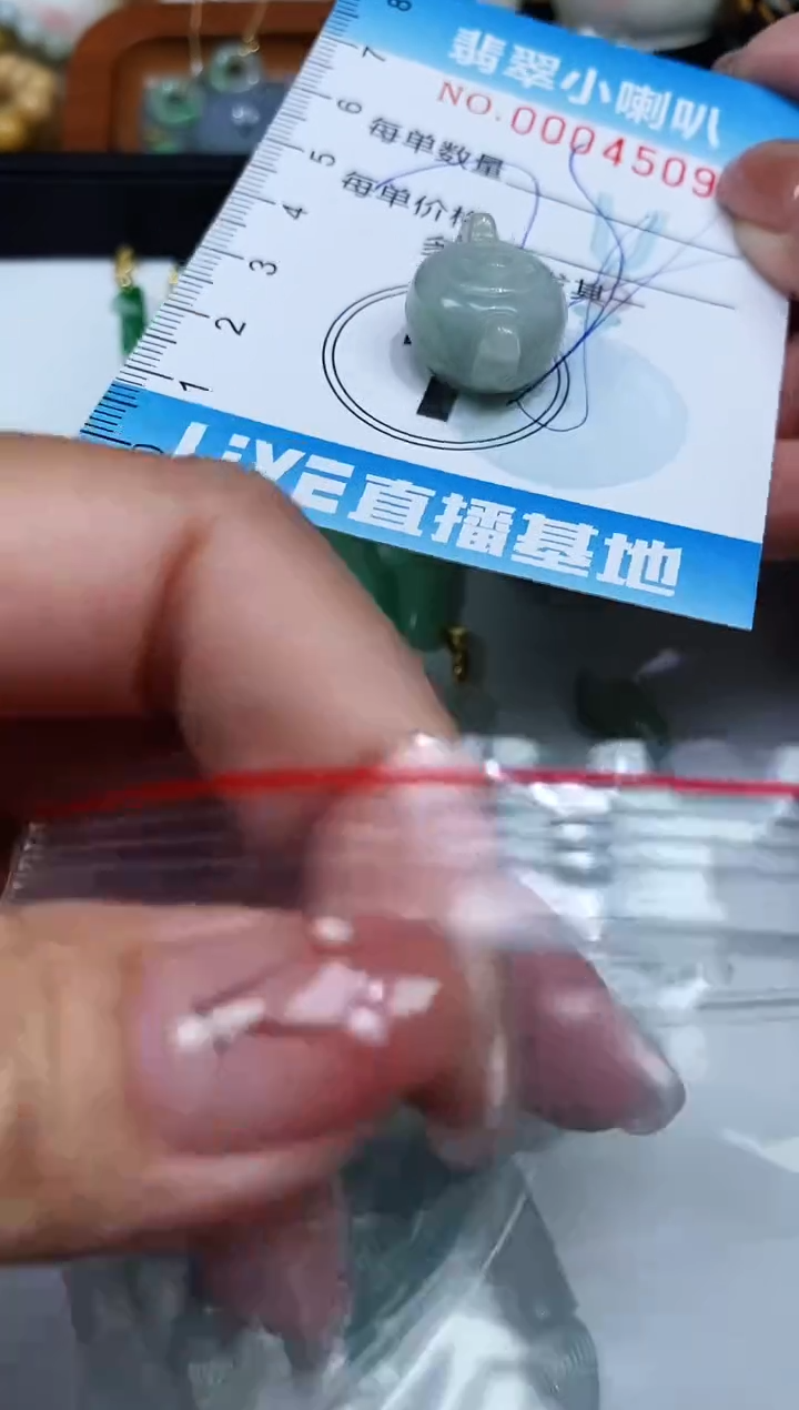 【闪购商品】翡翠颈饰未镶嵌闪购0004509