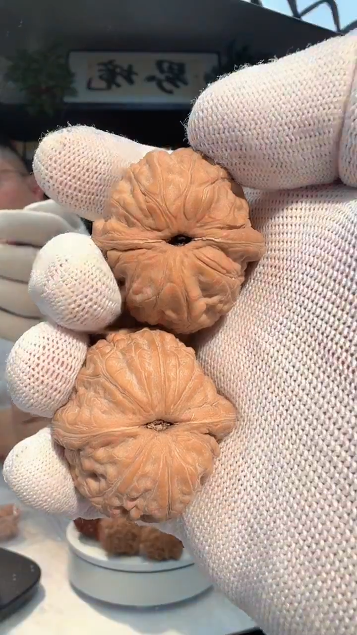 把件龙脊菩提墨**茶013全品无修 元宝43-39