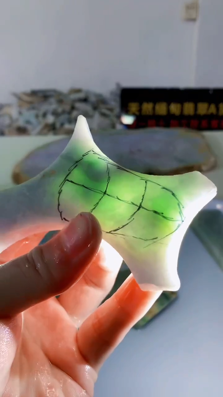 颈饰未镶嵌翡翠缅甸A货翡翠325