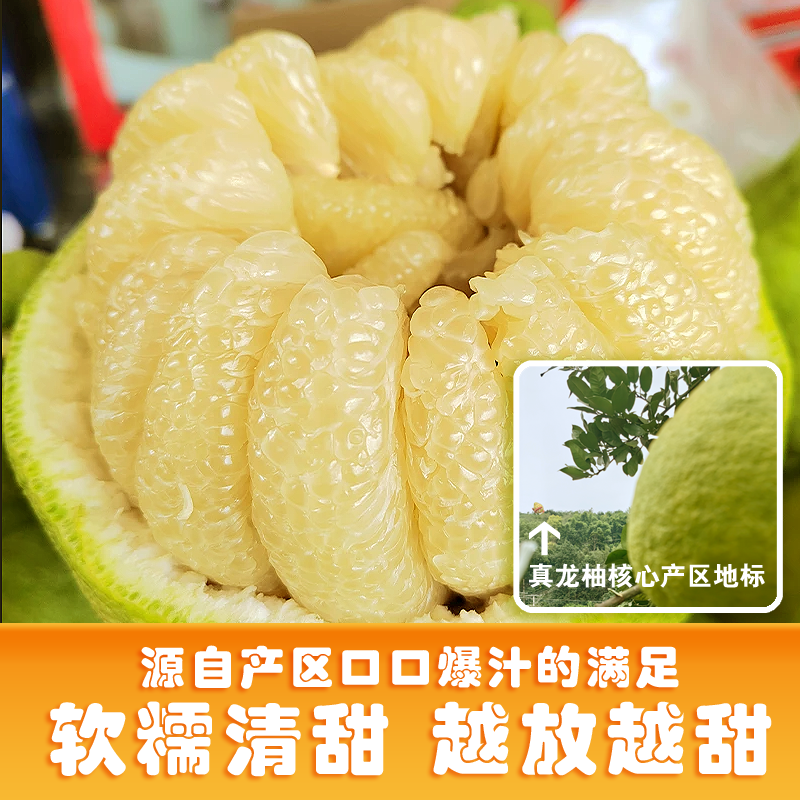 【实惠大果】正宗合江真龙柚 核心产区直发 越放越甜 无虾线