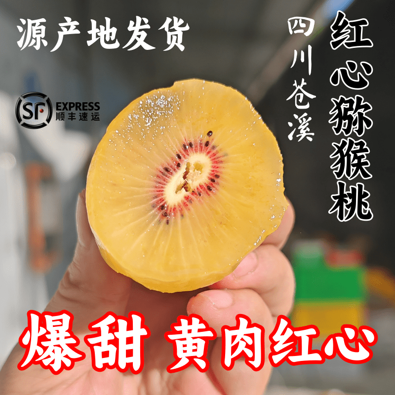 【顺丰包邮】正宗苍溪红心猕猴桃新鲜奇异果产地直发孕妇儿童水果