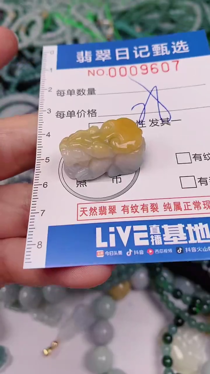 【闪购商品】翡翠颈饰未镶嵌00009607