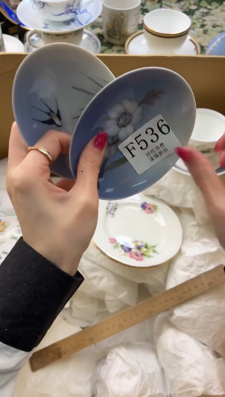 瓷片S**w       F536