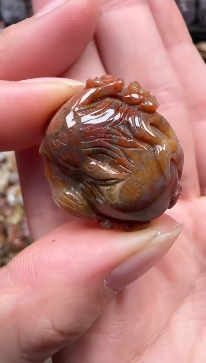 颈饰未镶嵌硅化珊瑚（珊瑚玉）648