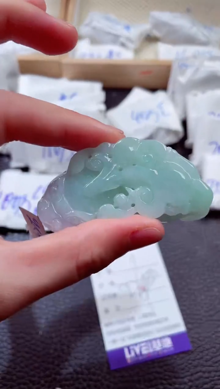 翡翠未镶嵌颈饰00006670