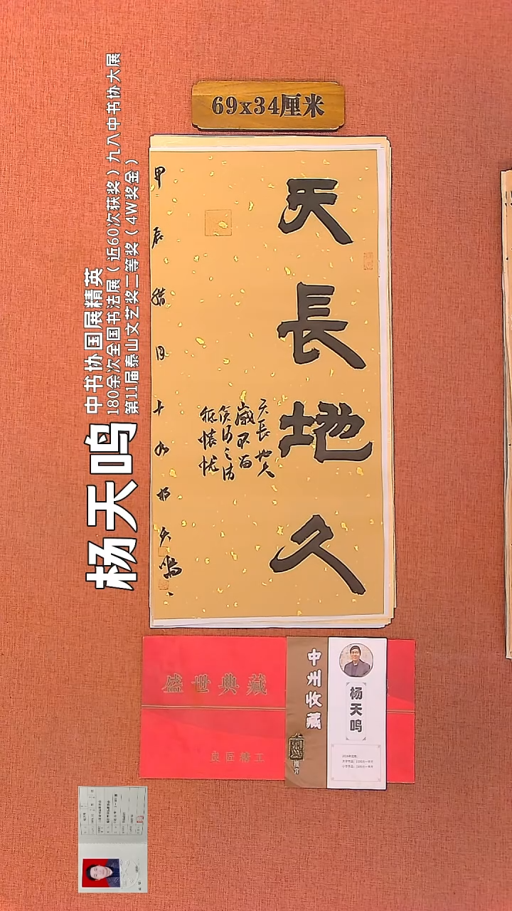 【闪购商品】书法125        杨天鸣书法作品