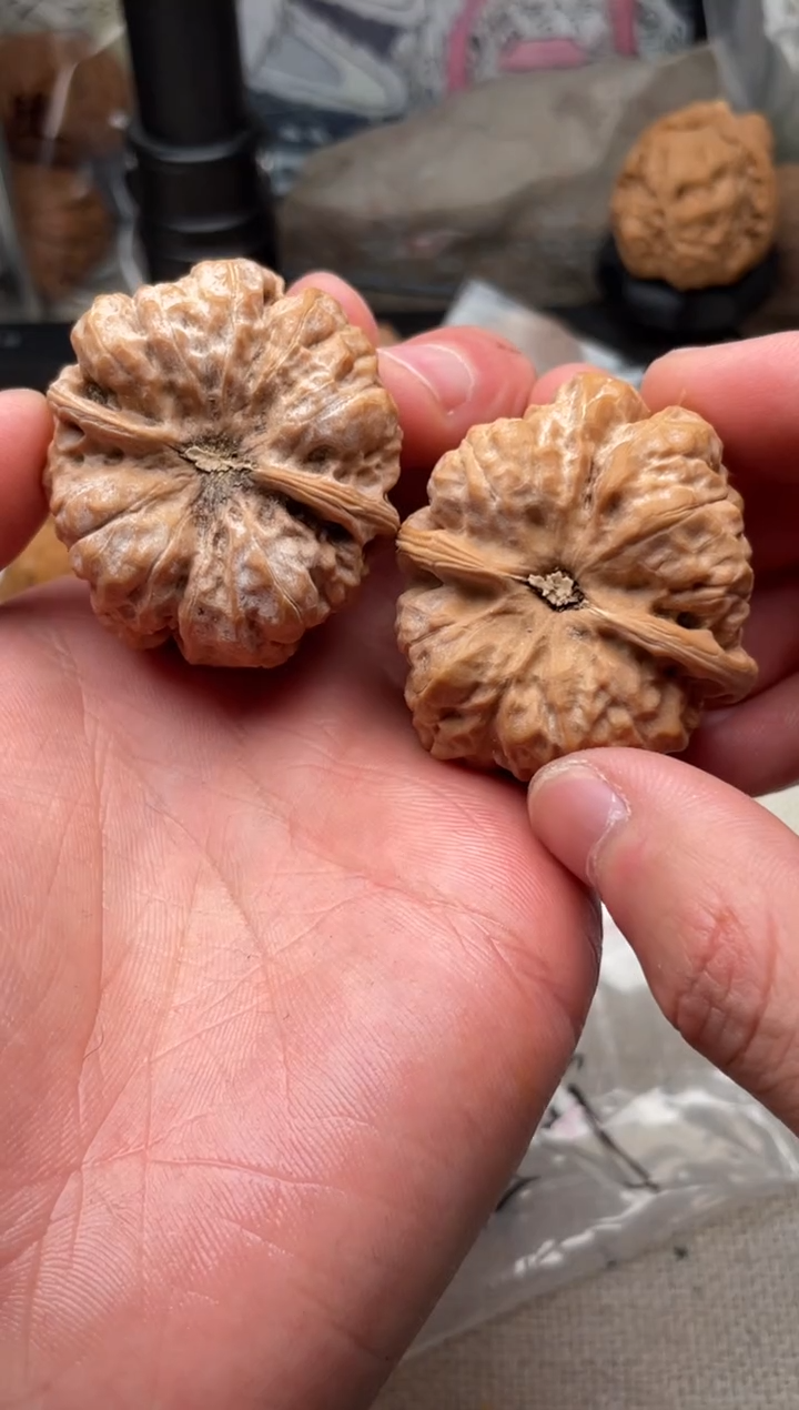 把件文玩核桃熬****开1202-熬过寒冬却没能见花开-蛤蟆