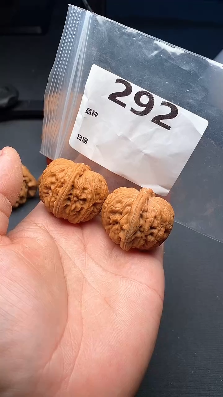 【闪购商品】文玩核桃吊坠292号40尺寸全品元宝