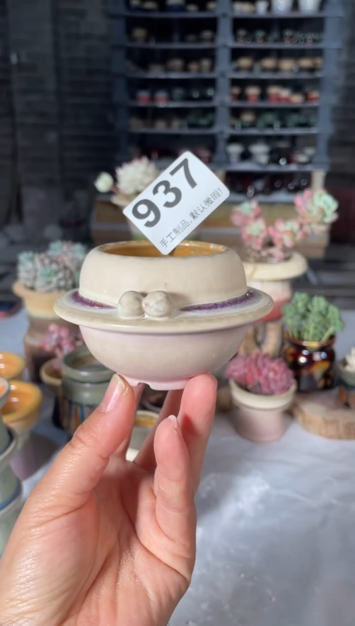 瓷片937小芳直播编号