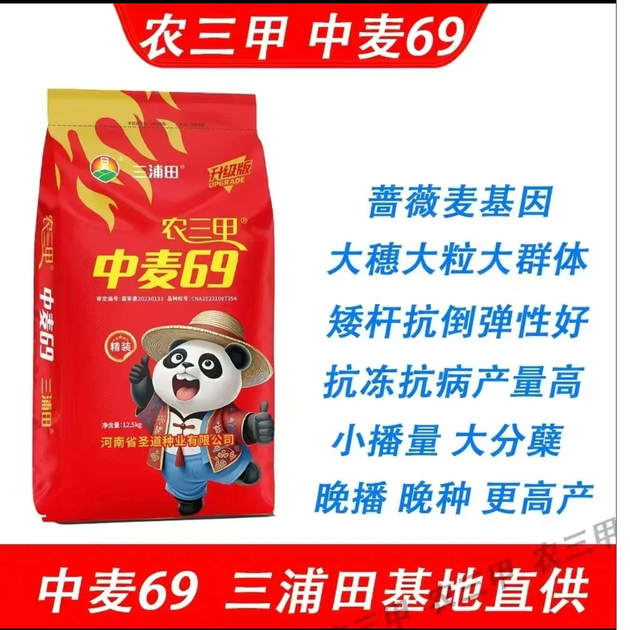 农三甲中麦69（农三甲）角质粮抗倒伏能力强 冬性小麦品种