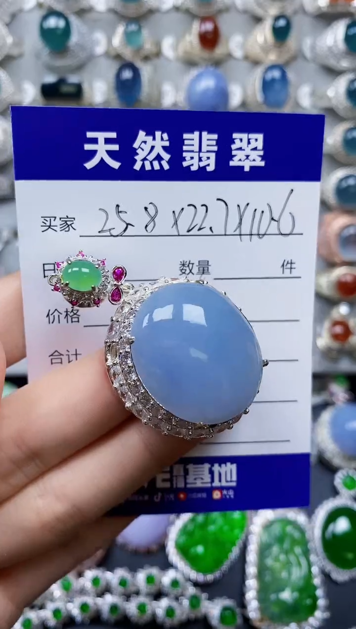 【闪购商品】翡翠颈饰未镶嵌00000219