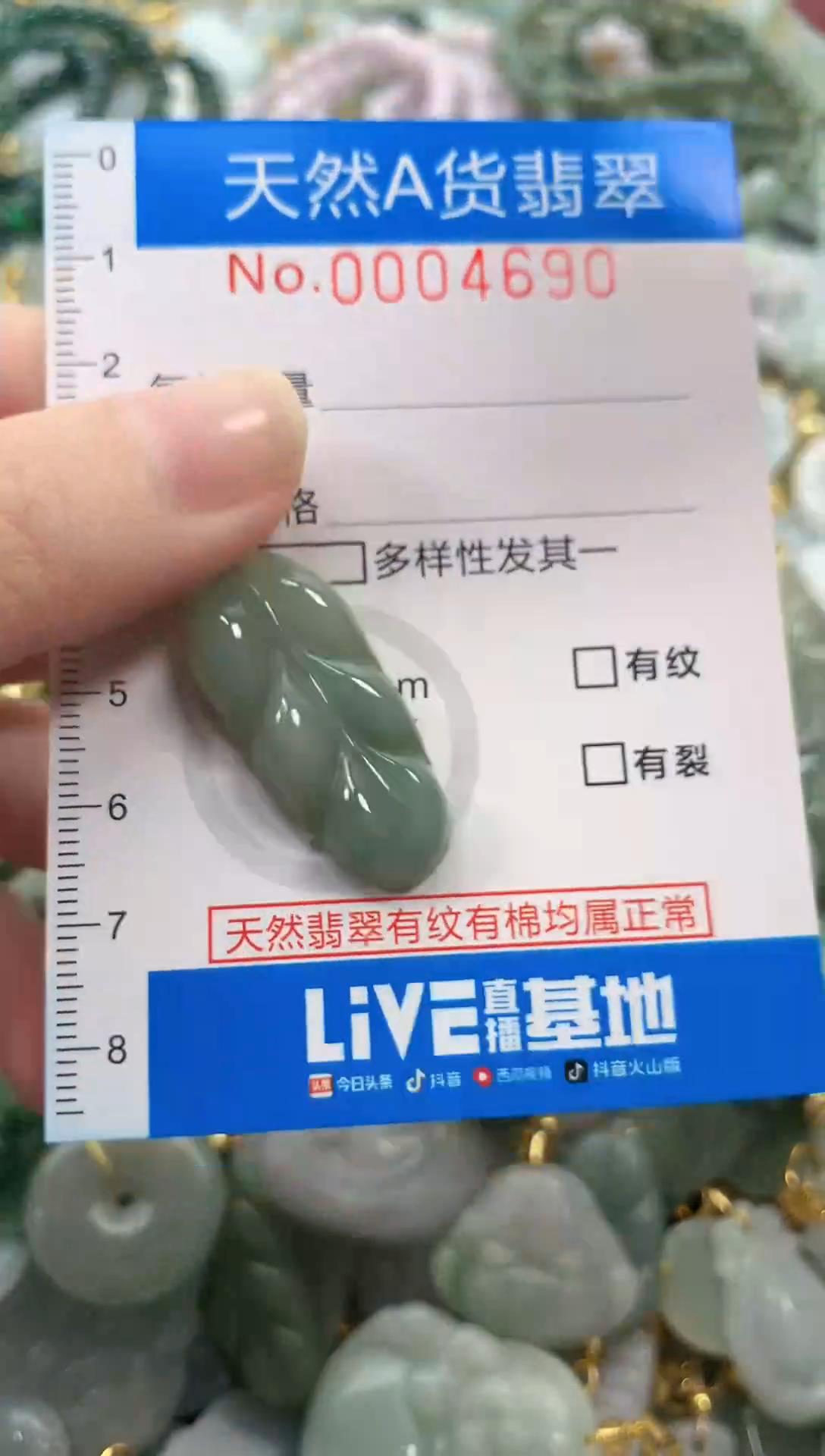 颈饰未镶嵌翡翠净货挂件-4690