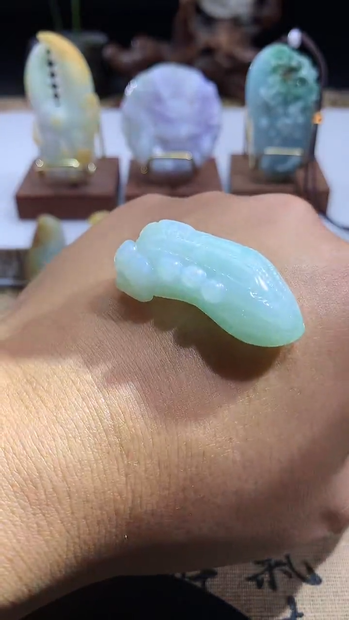 颈饰未镶嵌翡翠hs