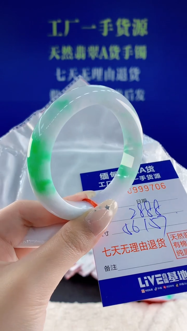 未镶嵌手镯翡翠06