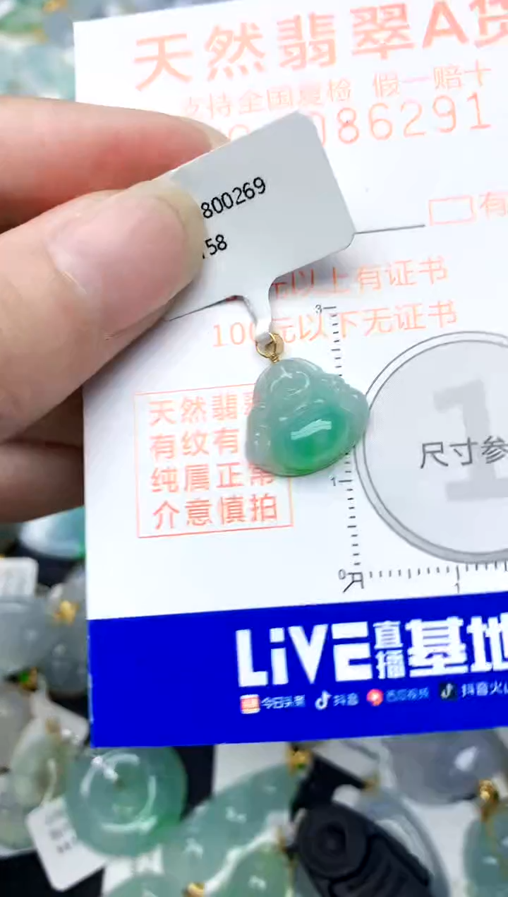 颈饰18K金镶嵌翡翠天然A货翡翠